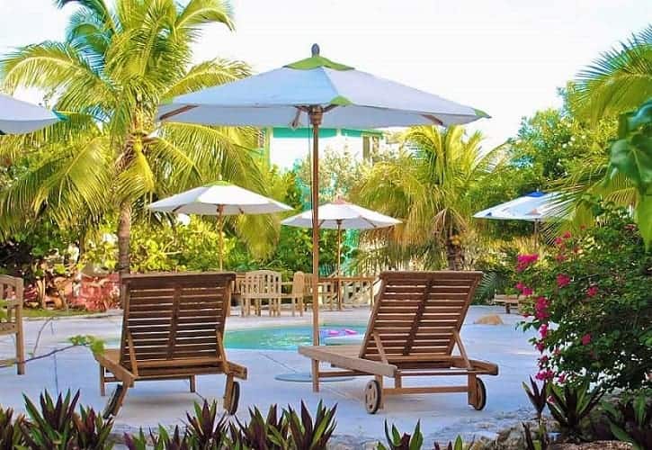 Three palms around the spa. Best for backyard palm tree ideas is to go with odd numbers of palm trees. Lounging chairs poolside with palms and tropical plants