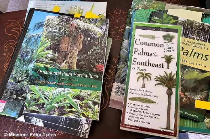 Several reference books about palms on a table
