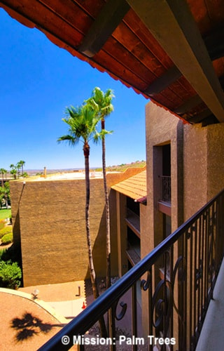 View from a resort's walkway of a Mexican palm