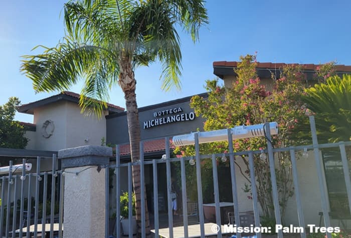 Queen palm growing in front of a restaurant