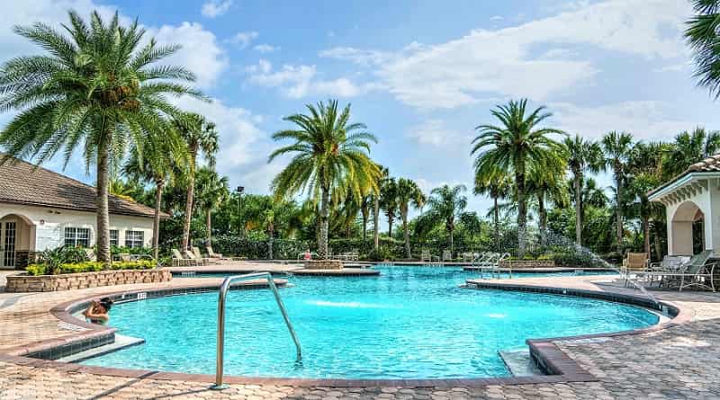 Many palms of the same species are gathered in the background. Pool and palm trees at a southwestern styled home