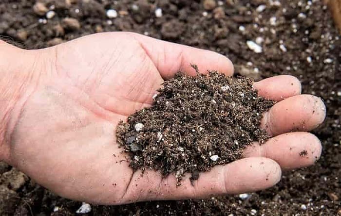 a person's hand holding a handful of humus-filled soil a person's hand holding a handful of humus-filled soil
