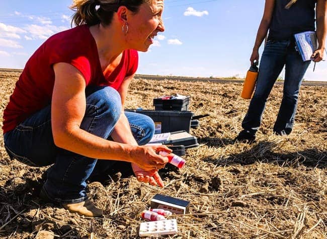 Soil scientist testing soil in a farm field. Soil scientist testing soil in a farm field.