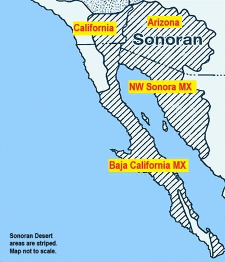 Mapping out areas of the Sonoran Desert in the southwestern USA and northwestern Mexico
