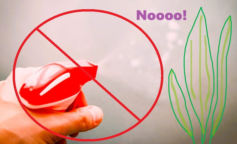 Demonstrating spraying cleaner chemicals near potted palms in a no-go