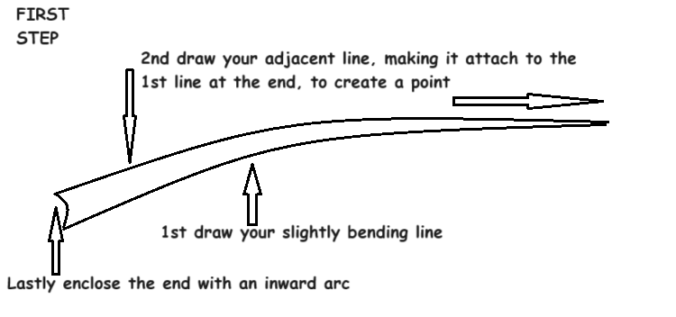 Explanation for a pencil drawing of a palm leaf stem Explanation for a pencil drawing of a palm leaf stem