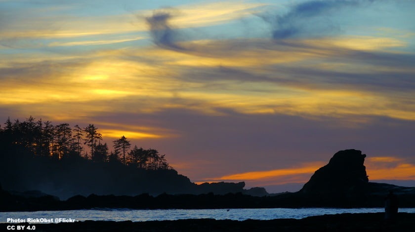 Where the Pacific Meets the Pines: A Sunset Symphony at Oregon's Sunset Beach State Recreation Site