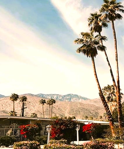 Good idea to evaluate the maximum growth of the palm trees you'd like to plant. Best design is to coordinate with the size of your home. Tall Palms at a Low Roofed Home
