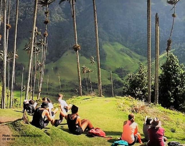 See why these tall palm trees are getting people's attention! Young people sitting on hillside viewing tallest palm trees