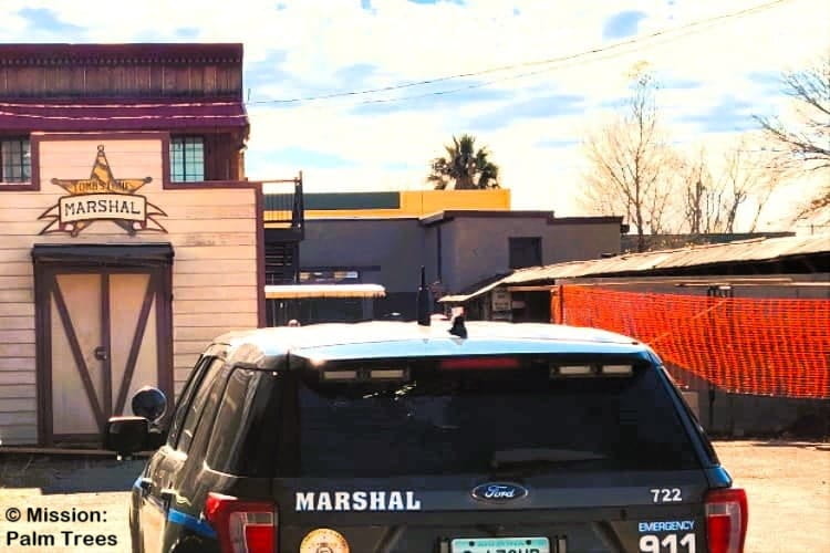palm tree in back of buildings at the Tombstone Marshal's Office