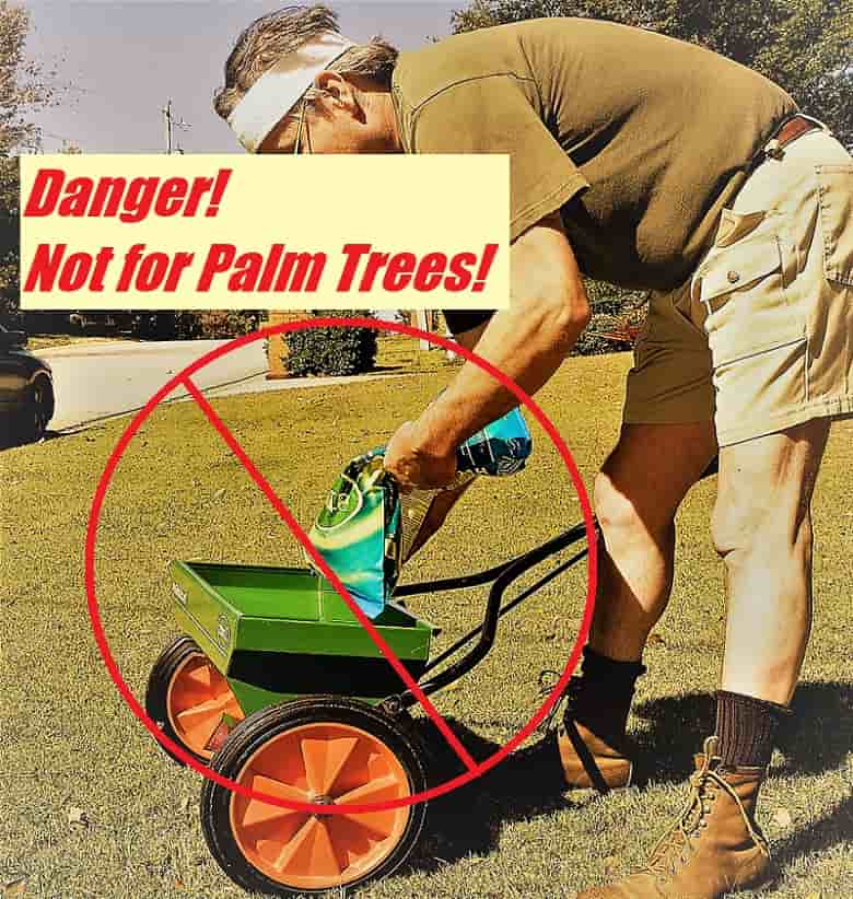 Don't use grass fertilizers near by or for palm trees.