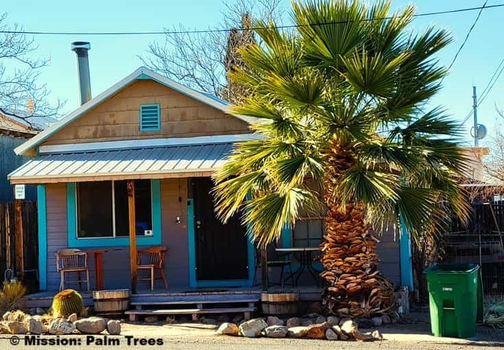 palm tree growing in front of a small bungalow home