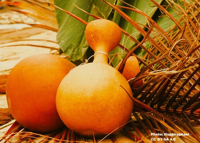 two Calabasas for holding palm wine 