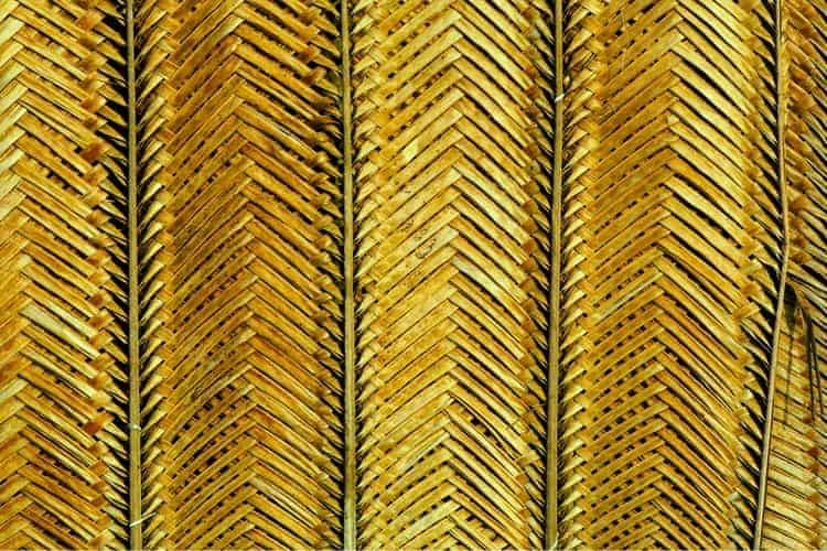 screen made from woven palm fronds