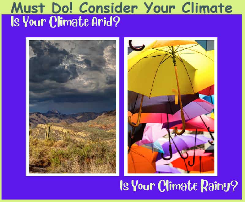 To learn how to plant palm trees, pick which climate you live in.