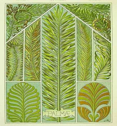 framed artwork made from assorted palm fronds