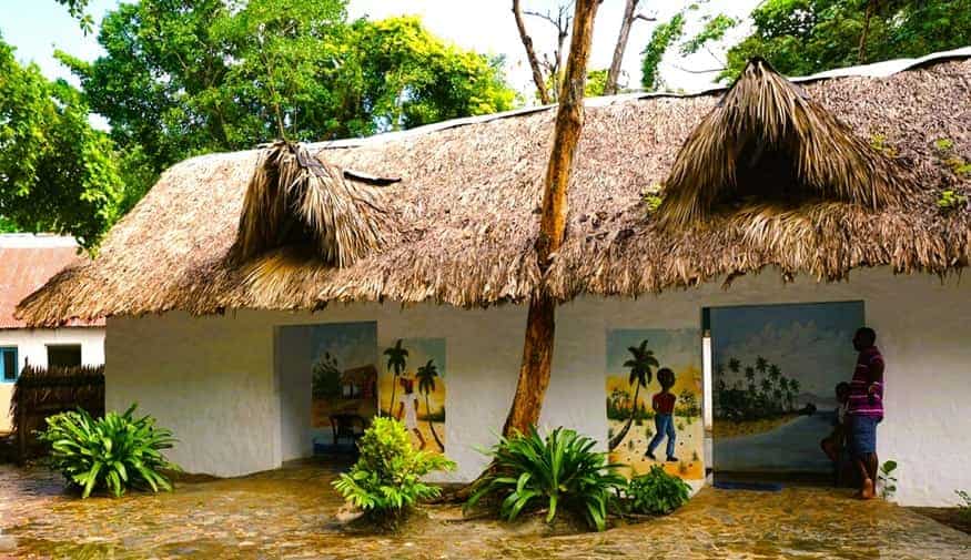 Home with a roof of palm frond thatching
