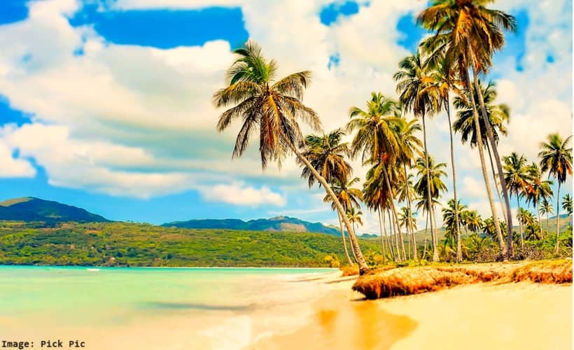 A beautiful sandy beach with palms in the background 