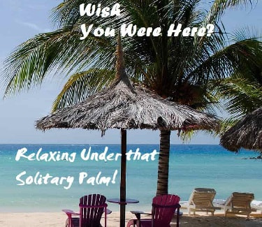 beach with palm trees and chairs for relaxing