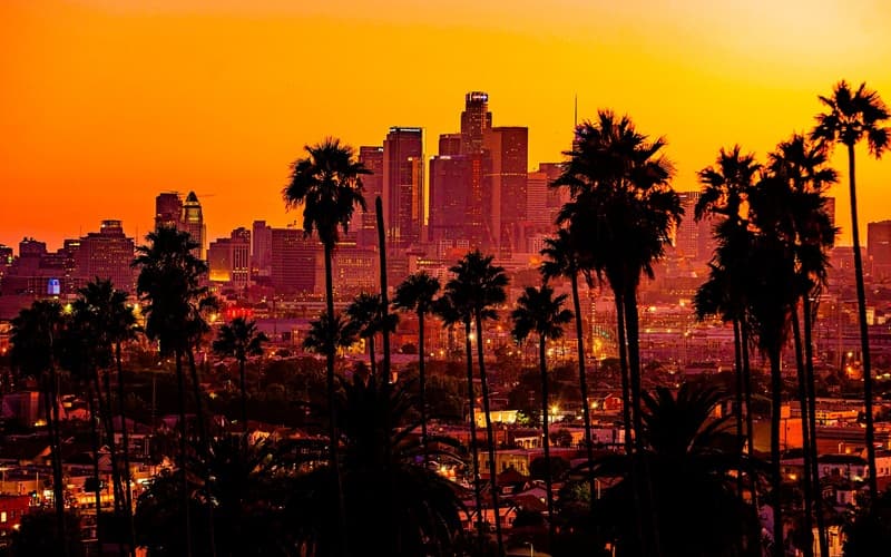 Sunset in Los Angeles with the cityscape and palms Sunset in Los Angeles with the cityscape and palms