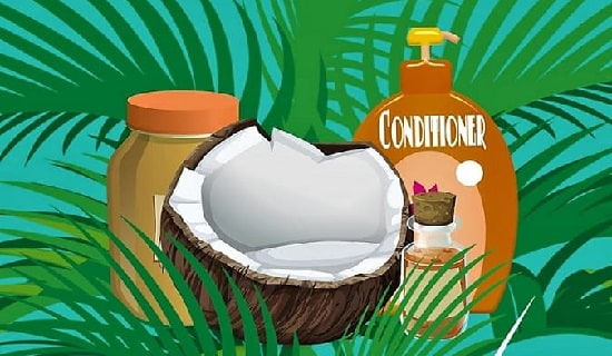 Beauty products made from Coconut Palm fruit Various beauty products made from coconuts