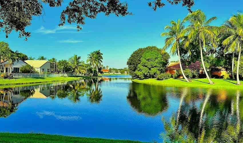 Lakeside homes in Florida with coconut palms