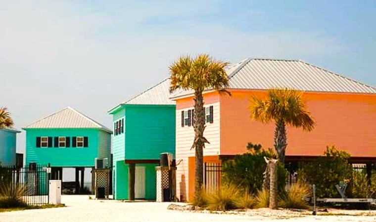 Palms along the edge of a home on Dauphin Island Alabama
