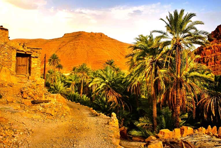 Mountain desert with stone cabin and a line of palms Mountain desert with stone cabin and a line of palms
