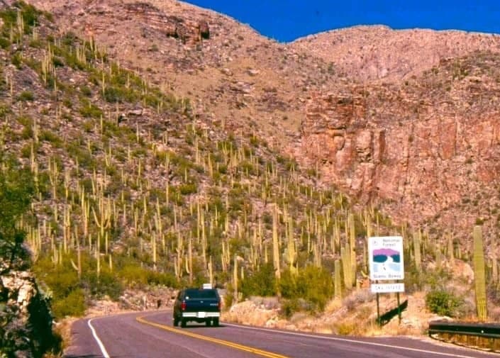 vehicle driving up sky island scenic byway in Tucson vehicle driving up sky island scenic byway in Tucson