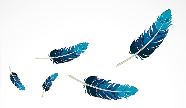 Several bird feathers floating through the air can remind you of falling feather fronds.