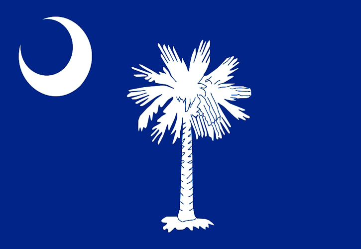 images on the flag of South Carolina, a crescent and a sabal palmetto images on the flag of South Carolina, a crescent and a sabal palmetto