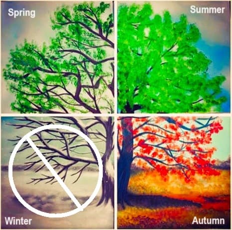 Depitction of climate's four seasons, with winter called out