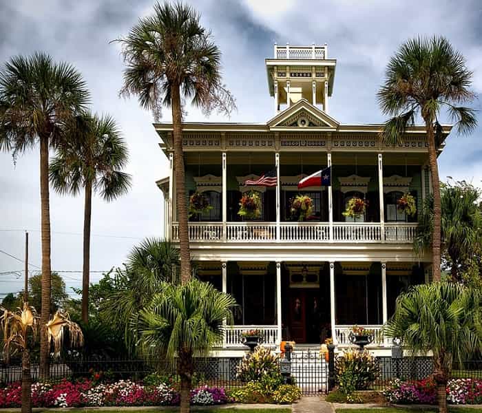 Palm trees at a Galveston home
