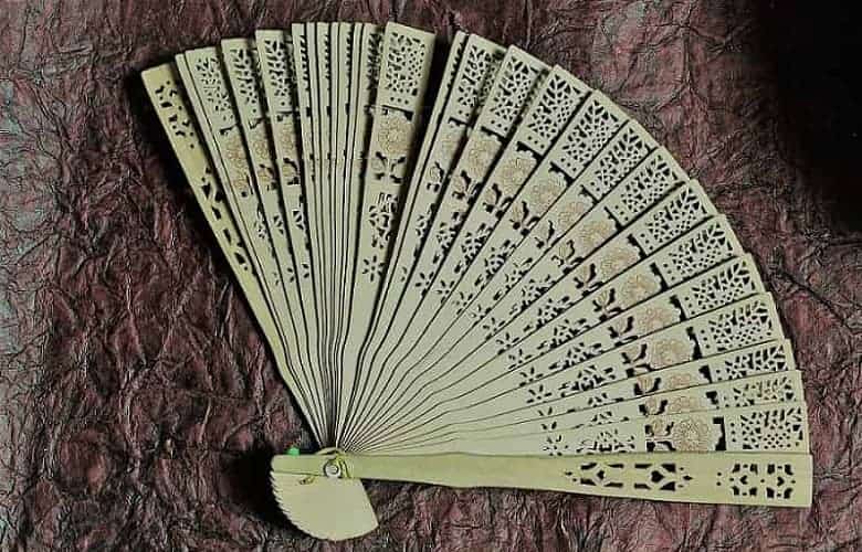 Chinese styled hand fan to compare to fan fronds of a palm tree.