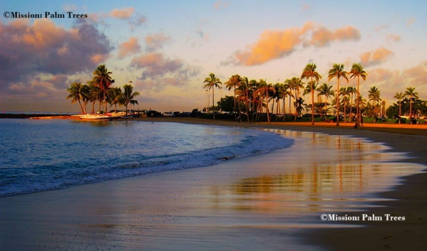 Waikiki Beach with palms in the distance, calm waves and sunset coming soon