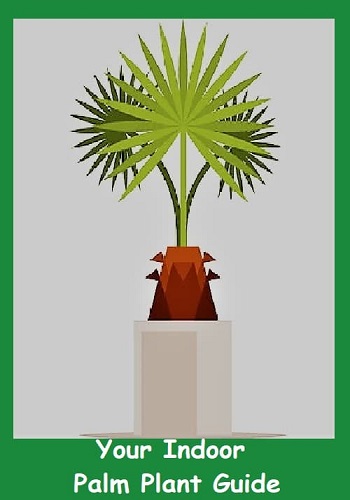 Types of Indoor Palm Trees Your Best Guide