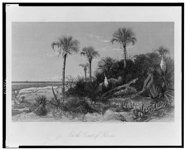 Mazatlan coast in Sinoloa Mexico Mazatlan coast in Sinoloa Mexico