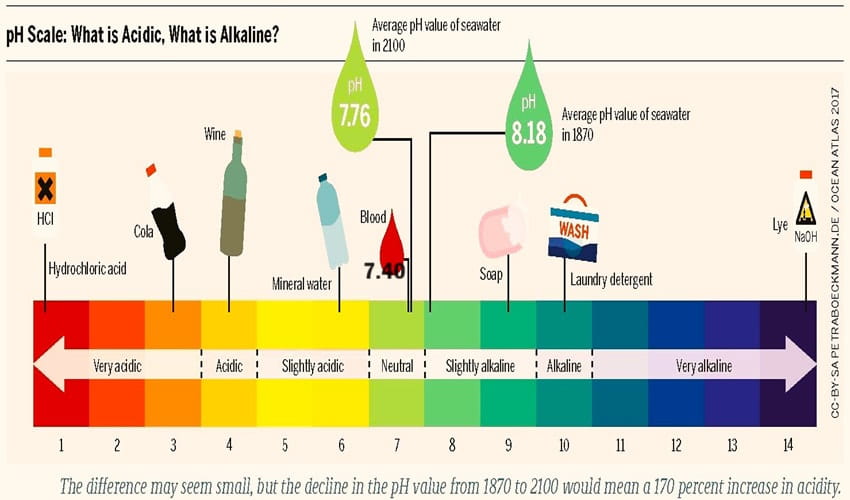 pH scale with examples pH scale with examples