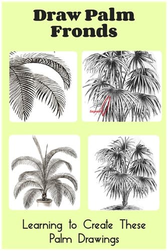 poster shows fronds and the type of palm they grow on