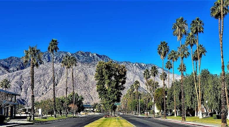 Major street in Palm Springs lined with palm trees and a mountain in the background.