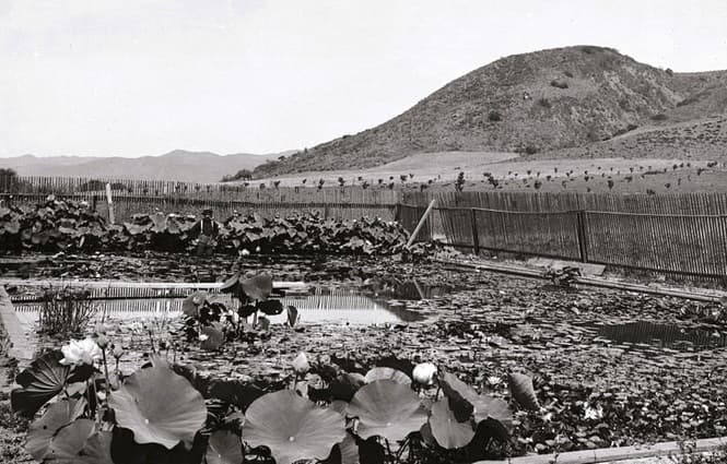 vintage image of a section of los angeles