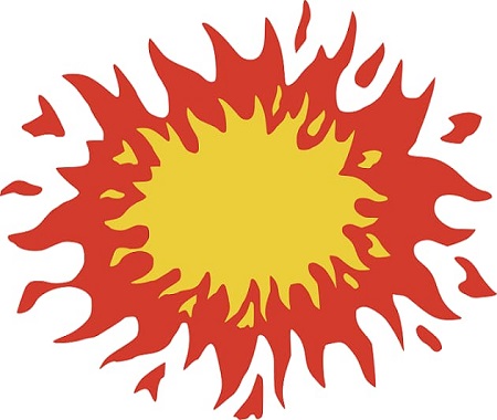 Blistering sunlight all day long is not suitable for all palm trees. For your tree care, think about that. Blistering sun