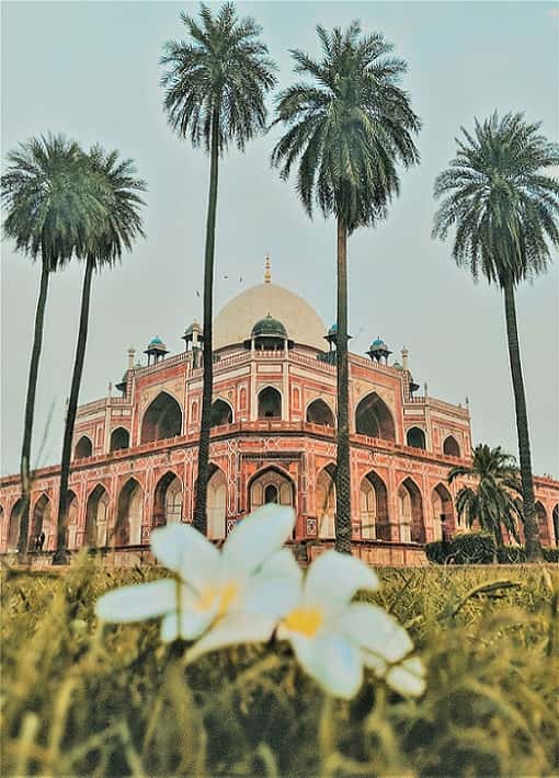 temple with palm trees and a flower