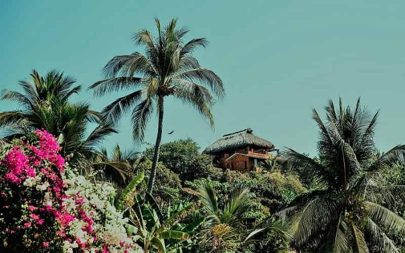 Home on top of a hill in a Tropical area with colorful flowers and palms.